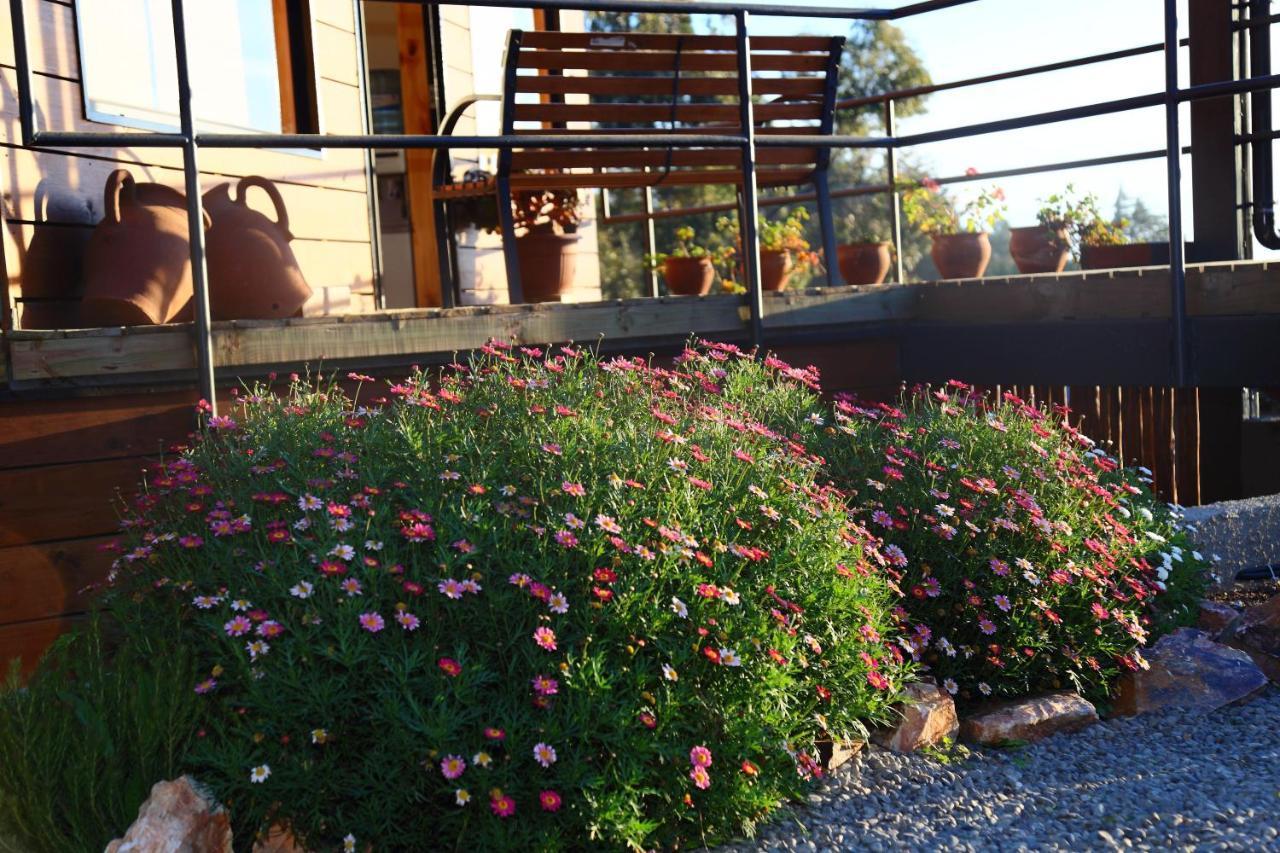Cabanas Y Spa Costa Patagonia - Piscina Climatizada ピチレム エクステリア 写真