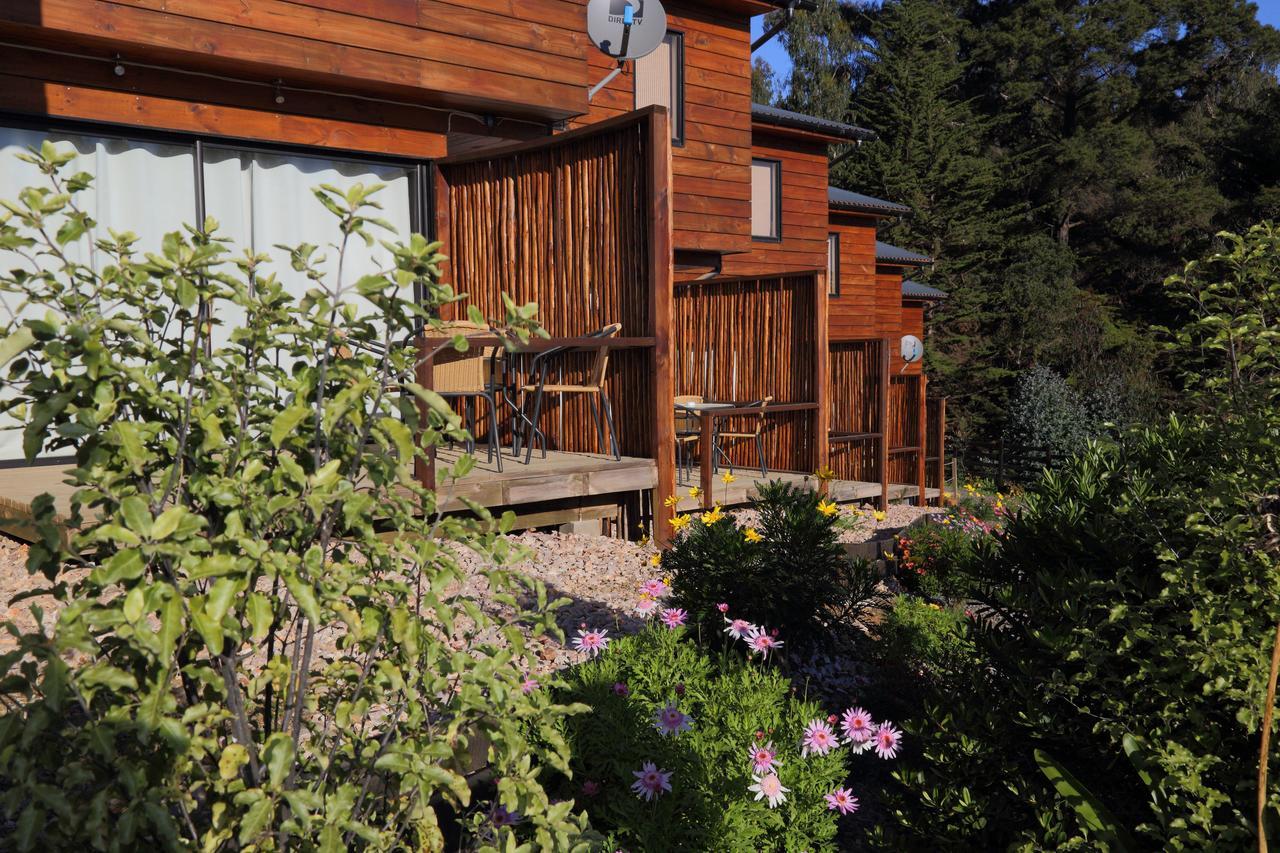 Cabanas Y Spa Costa Patagonia - Piscina Climatizada ピチレム エクステリア 写真