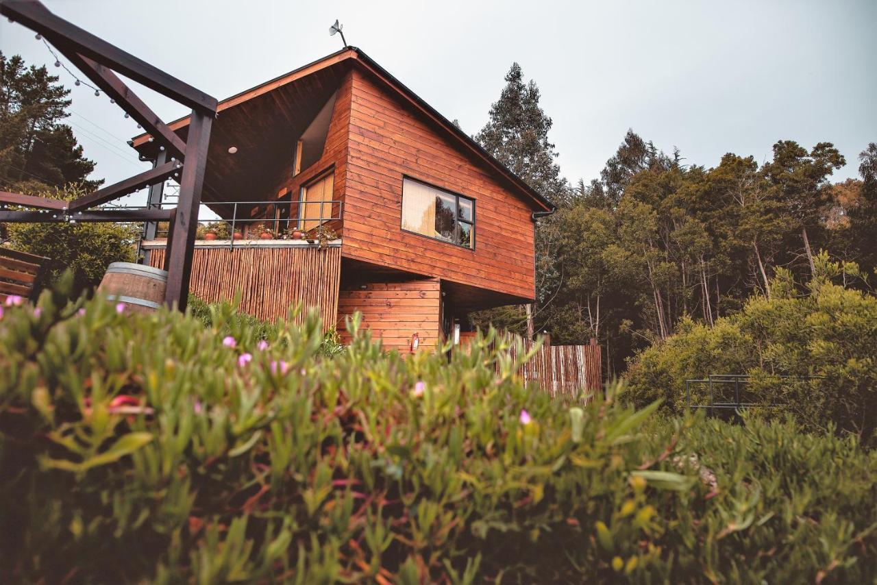 Cabanas Y Spa Costa Patagonia - Piscina Climatizada ピチレム エクステリア 写真